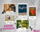 Aventure_Biodiversit__Dcouverte_des_Zones_Humides_de_Viasmin.png